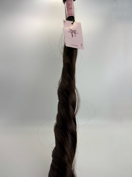 Camellia Brown - French Curls
